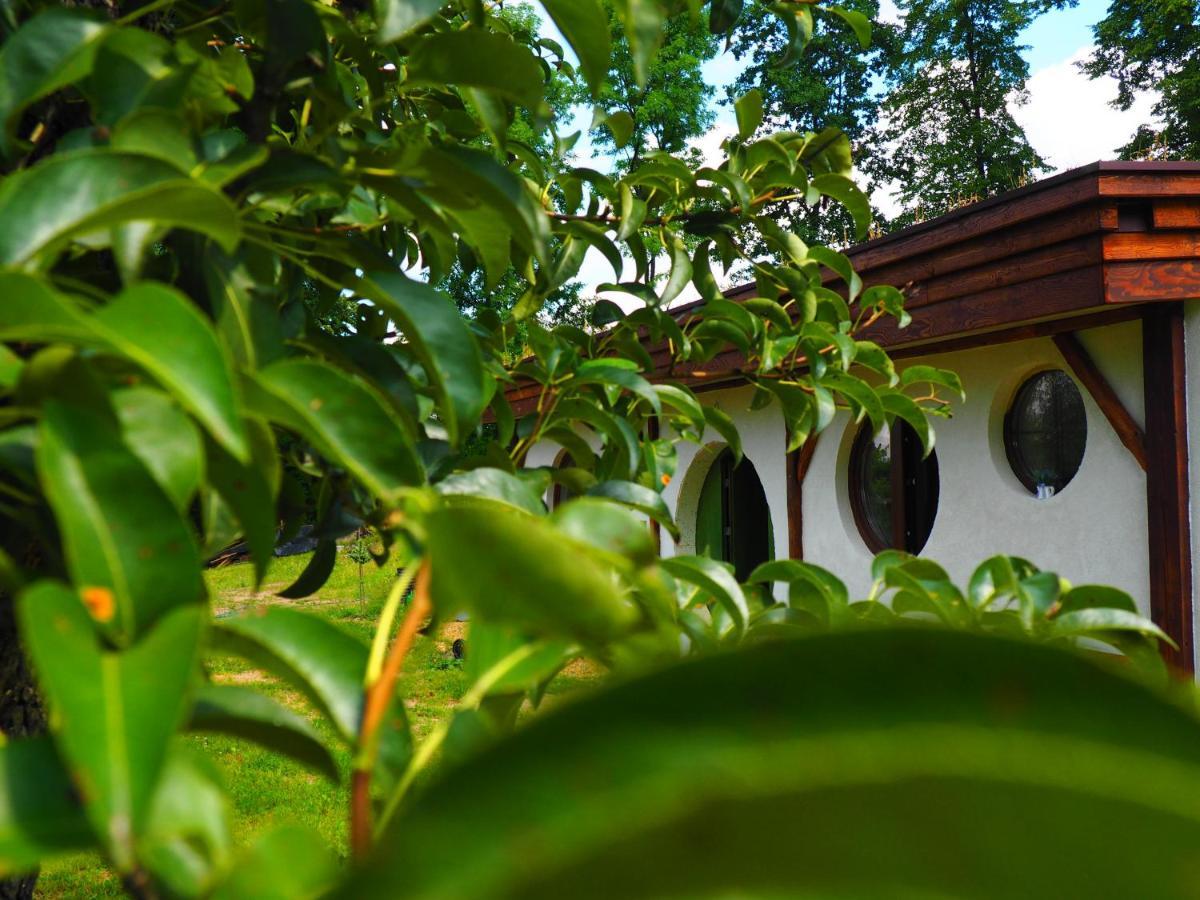Chata Karkonoskiego Skrzata Villa Sosnowka  Exterior photo