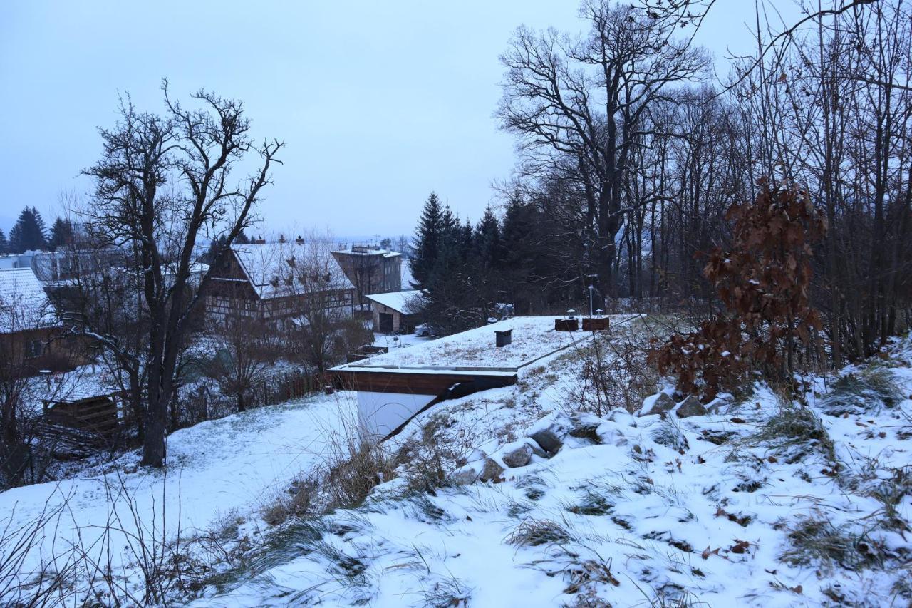 Chata Karkonoskiego Skrzata Villa Sosnowka  Exterior photo